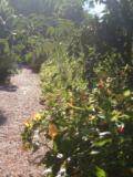 g�tes saint r�my de provence