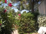 gite piscine en provence france