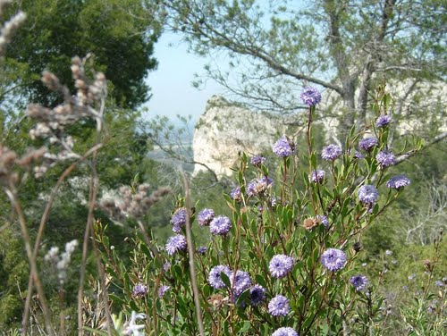 gtes provence