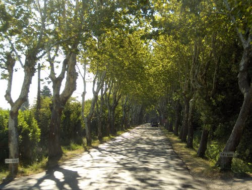 location de vacances en gite avec piscine en provence