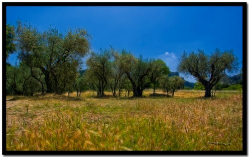 maisons de vacances  louer en provence